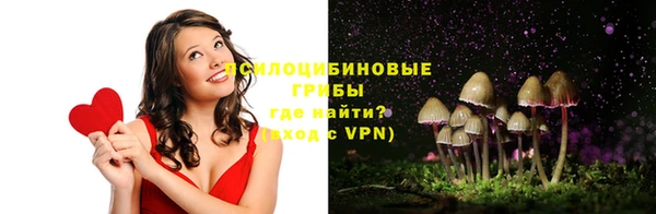 прущий лед Богородицк