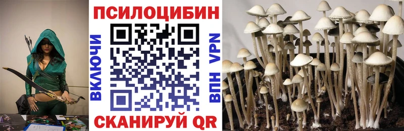 Псилоцибиновые грибы Magic Shrooms  Вятские Поляны 